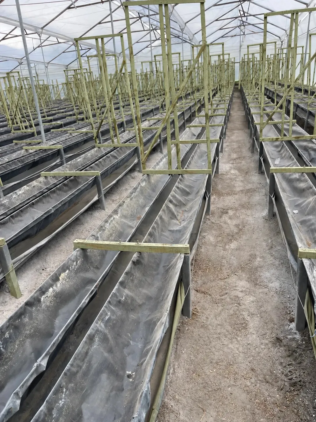 Camas de cultivo con estructura de madera inmunizada en invernadero